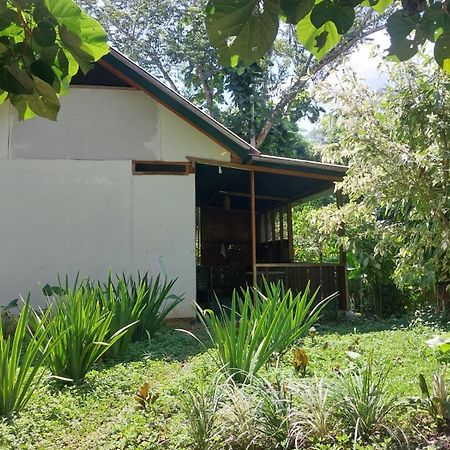 Jardin De Las Musas Puerto Maldonado Exterior photo