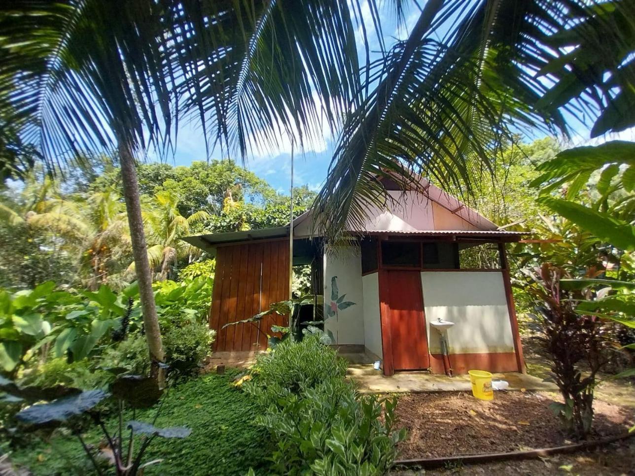 Jardin De Las Musas Puerto Maldonado Room photo