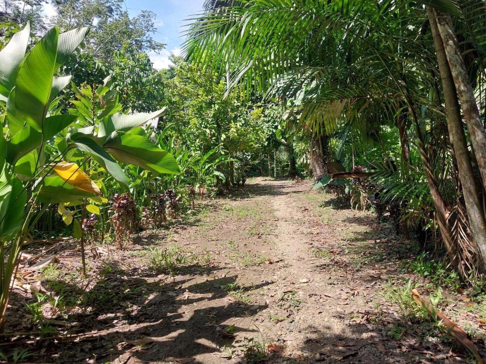 Jardin De Las Musas Puerto Maldonado Room photo