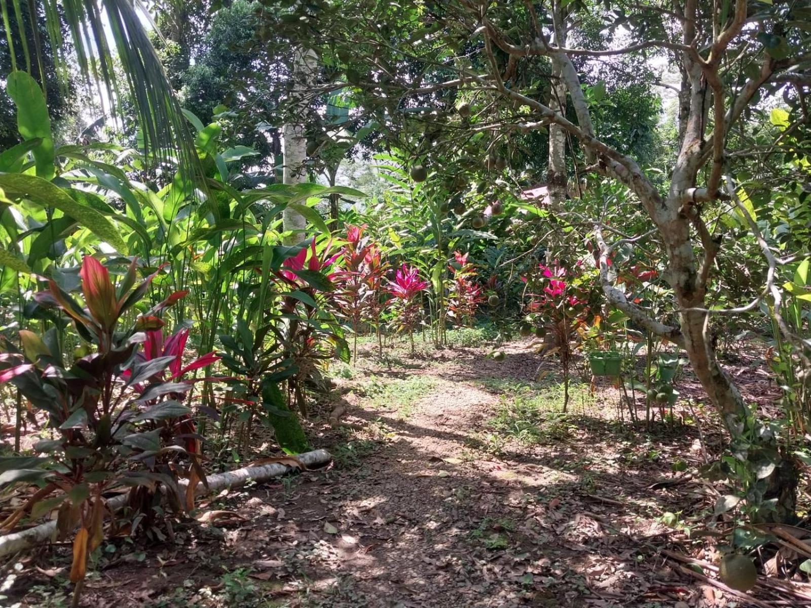 Jardin De Las Musas Puerto Maldonado Exterior photo