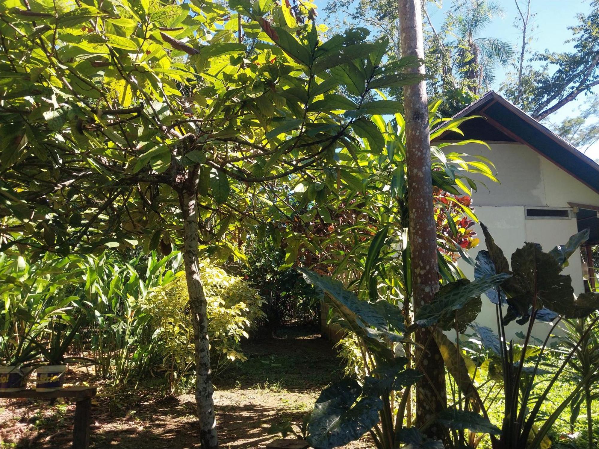Jardin De Las Musas Puerto Maldonado Exterior photo